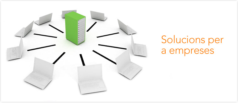 Servidors personalitzats, instal·lació i configuració personalitzada de servidors segons les seves necessitats.